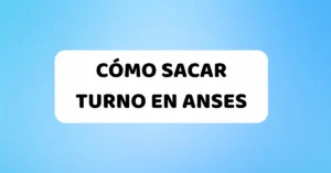 Cómo Sacar Turno en ANSES: Vea el Paso a Paso